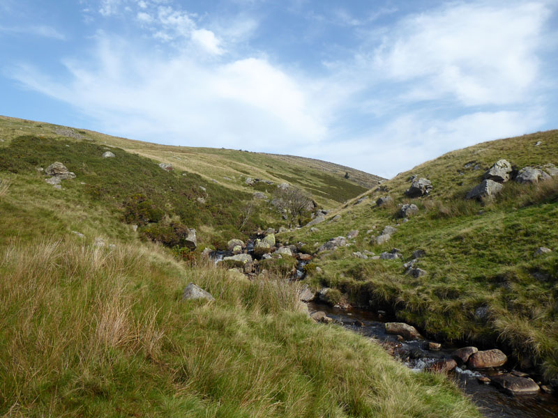 Comb Beck